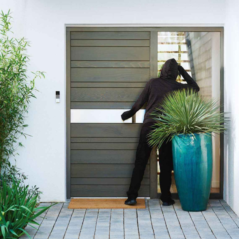 Умный звонок Netatmo - 5